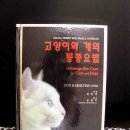 Homeopathic care for Cats and Dogs 이미지