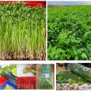 빛나농장 이미지