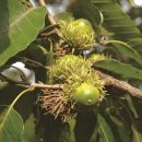 상수리공원 이미지