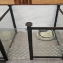 도그트리 이미지