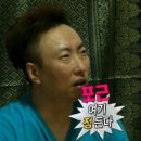 별이와콩이 | 따사룸 강아지 미끄럼방지 롤매트 셀프 시공 내돈내산 후기