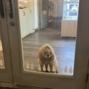 학정로 439 이미지