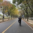 탄금호순환자전거길 8 | 인천대공원 전기자전거 라이딩 &amp; 동물원 방문 후기
