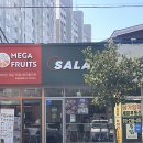 샐러디보령