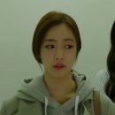 별별강아지 이미지