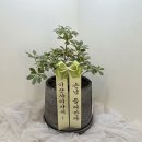 화원일식 이미지
