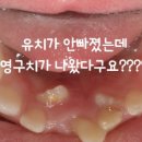 연세별소아치과치과의원 이미지