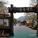 쥬쥬랜드 이미지