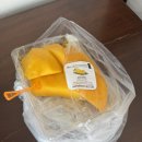 데일리 멍키친 | 두 번째 치앙마이 #8 - 마지막편