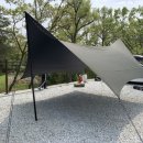 노마드포레스트4