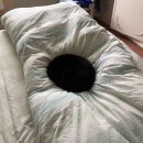 블랙홀PC방 이미지