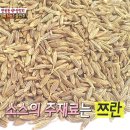 망원양꼬치