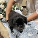 가족동물병원 이미지