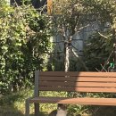 김소영한의원 이미지