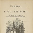 월든 이미지