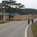 수룡 경로당 Daum카페