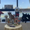 두유 개린이집 이미지