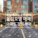 청담부동산중개법인주식회사 | 청담대우유로카운티 올 리모델링 정원세대 매매 청담동 아파트 정원세대 희소매물