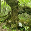 성돌목장 이미지