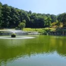 관광농원낚시터 이미지