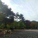 (주)골든리버 이미지