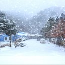 물빛정원펜션 이미지