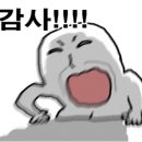 금산분식