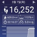 16000보 걷고 넉다운!!! 이미지