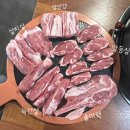 더미양 이미지