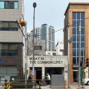 친환경 식물로 소품만들기 | 대구 동인동 브런치카페 겸 소품샵 '더커먼' 애정하는 비건 맛집..♥