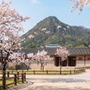 문화가 있는 날 [함께 걷는 공연 나들이] 1회차 팬더믹시대, 예술 같이 : 가치 | 서울 근교 당일치기 추천 5곳 | 가평·양평·파주·강화도·수원 코스 총정리