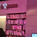 핫포차 | 서울 강남역 핫 플 을지 포차 내 돈 내산 후기