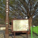 현풍농협주유소 이미지