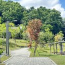 NEO공인중개사사무소 이미지