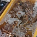 유달유통 | 2026.2.27 문주수산시세