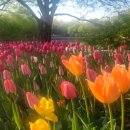 가을바람 이미지