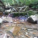 도모지골 이미지