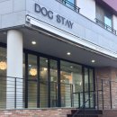 언니도그 이미지