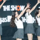 신비 카카오 검색결과