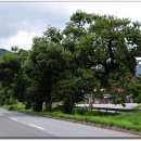 청원주유소 이미지