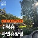 동막골 쉼 이미지