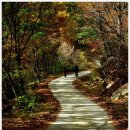 마천 2 농장 이미지