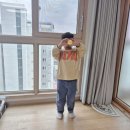 용인대 경연 태권도장 이미지