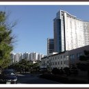 부경대학교(대연캠퍼스) Daum카페