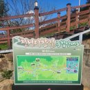 하동야생차박물관 | 하동 가볼만한곳 하동 야생차박물관 &amp; 야생차치유관 방문 후기