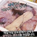 양포생아구 - 포항시 남구 동해안로 3543 | 양포생아구