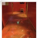 폭시모텔 이미지