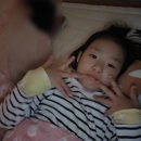 경상북도 교육청 김천오토캠핑장 후기