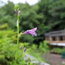 자연과 나 이미지