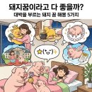 돼지꿈이라고 다 좋을까? 대박을 부르는 돼지 꿈 해몽 5가지